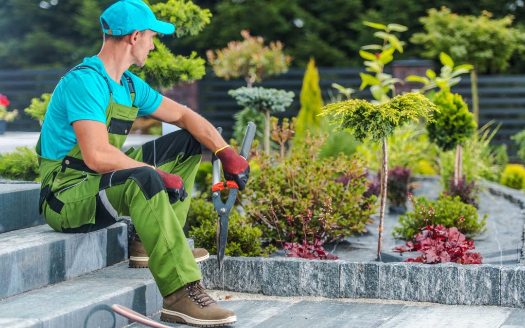 Entretien de jardin à Ludres