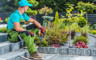 Entretien de jardin à Ludres : les erreurs courantes qui ruinent votre pelouse et comment les éviter