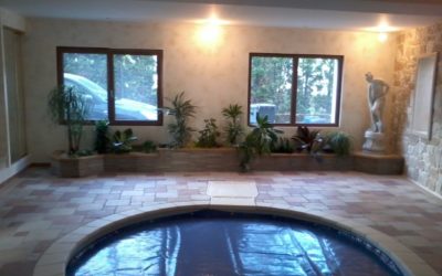 Végétalisez votre maison grâce à un paysagiste intérieur à Nancy !
