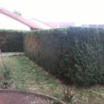 entretien de jardin à Nancy
