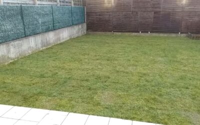 Engazonnement à Lunéville : la méthode pas-à-pas pour un gazon dense