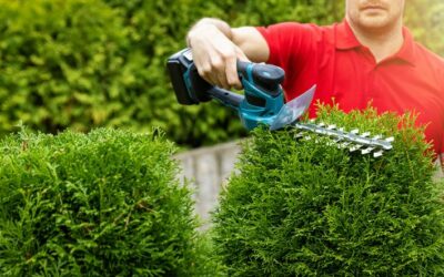 Entretien des espaces verts à Lunéville : pourquoi faire appel à une entreprise spécialisée ?