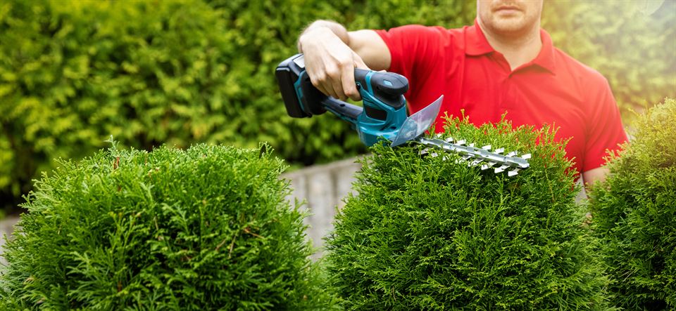 Entretien des espaces verts à Lunéville